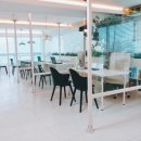 Dr.Mini 하늘다람쥐 전문병원 이미지