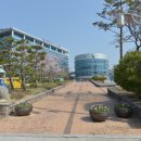 김민지공인중개사사무소 뉴시스
