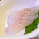 차야(chaya)