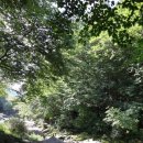 내원계곡라온펜션 이미지