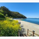 고대도4 이미지