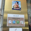 마이컵오브티MyCupOfTea - 평택시 평택2로 33 | 홍콩 완차이 마이컵오브티 내돈내산 차찬탱 토스트 파인애플번 밀크티 추천