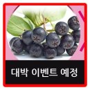 엠엠에프