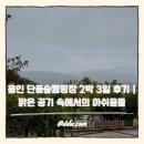 단풍숲캠핑장 | 용인 단풍숲캠핑장 2박 3일 후기 | 맑은 공기 속에서의 아쉬움들