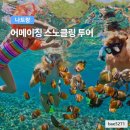 949 | 나트랑 호핑투어 어메이징 스노클링 혼째섬 혼문섬 혼땀 다녀온 후기