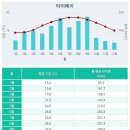 WHO? PC | 2025년부터 바뀐 대만 입국신고서 작성법, 대만 이심 추천