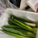 주식회사 레브잇 | 요즘 뜨는 쉬운 앱테크! 올웨이즈 올팜에서 무료 과일, 커피까지? 솔직 후기