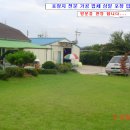 삼일식품 이미지