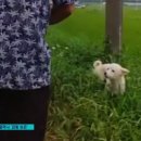 체온정