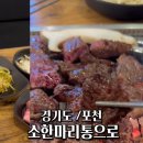 소한마리통으로 이미지