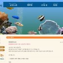 현대바다낚시터 이미지