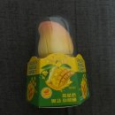 GS25오천로제비앙점 | GS25 망고 소르베 내돈내산 솔직 후기 (몽골에서 먹은 과일아이스크림이랑 비교까지!)