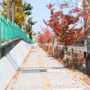 전주동북초등학교 이미지