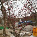 자연의 소리 이미지