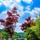 산성리 이미지