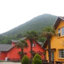 남해편백자연휴양림 이미지