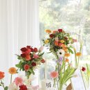 행복이 가득한 터 | 남양주돌잔치 후기 아유스페이스 감성 가득한 공간