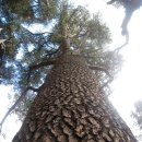 횡간도3 이미지