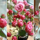 (12/3)젤캔들홀더&티라이트캔들 이미지