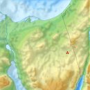 금송아지 이미지