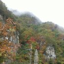 평창수림대펜션 이미지