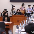 진선미 뉴스1