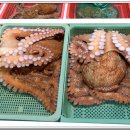 일등수산물 이미지