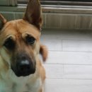 메이동동 이미지