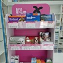 세종충대약국 이미지