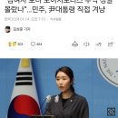 “김여사 모녀 도이치모터스 수익 정말 몰랐나”…민주, 尹대통령 직접 겨냥 이미지