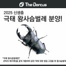 주식회사 더랩