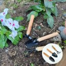 필수농장 이미지