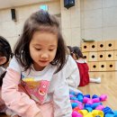 🌙 [신체활동] 할리갈리(소근육) 이미지