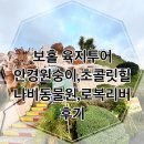 나비농장2 | 4세 아이랑 함께한 보홀 육지투어 하루 코스✨ 안경원숭이·초콜릿힐·로복리버·나비농장 리뷰!