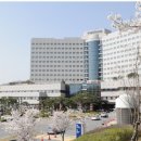 서울대학교 이미지