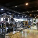 고고 휘트니스 이미지