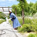 푸르른 5월~~~아라미아 꽃축제서! 이미지