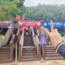 타이어월드(구리점) | 셔틀버스 정보, 입장권 꿀팁, 준비물, 먹거리 후기 [홍천 비발디파크 오션월드&amp;소노벨 1박 2일 여행기(1)]