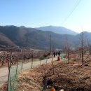 용산4리 이미지