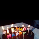 우리들농장(소) 이미지