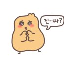 실로암안경원 이미지