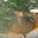 엄마손태백물닭갈비 이미지