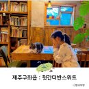 제주도 구좌카페 제주 구좌읍 고양이 있는 카페 주변 가볼만한곳