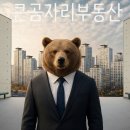 큰곰자리부동산중개그룹 이미지