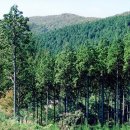 산야산업 이미지