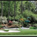 오거스타 골프클럽 이미지