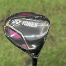 이존스크린골프 이미지