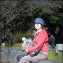 옥경목장 이미지