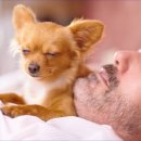 더샵 동물병원 이미지