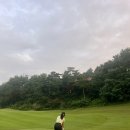 알프스대영 골프장 | 강원도 횡성 알프스 대영 CC 가성비 골프장 라운딩 후기